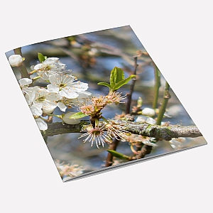 view Hawthorn A6 Notebook details