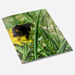 view Bumblebee A6 Notebook details