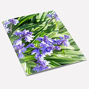 view Bluebells Notebook A6 details