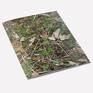 view Woodland Floor A6 Notebook details