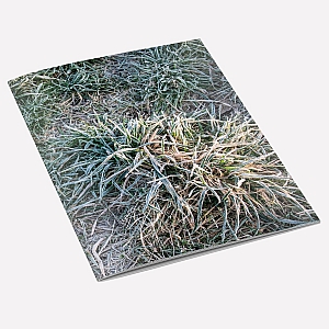 view Frosty Grass A6 Notebook details