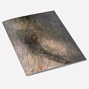 view Sycamore Bark A6 Notebook details