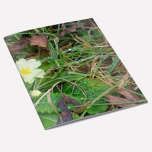 view Wild Primrose Notebook details