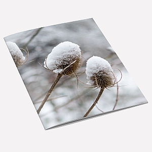 view Snow Teasel A6 Notebook details