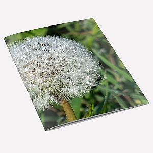 Dandelion Dew A6 Notebook