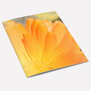 Marigold Notebook A6