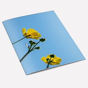 Buttercup Notebook A6