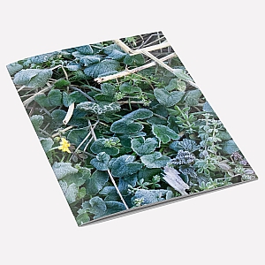 Frosty Leaves Notebook