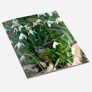 Snowdrops Notebook