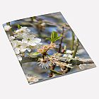 Hawthorn A6 Notebook