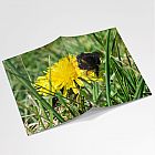 Bumblebee A6 Notebook