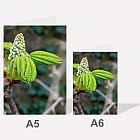 Tree Buds A6 Notebook