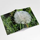 Dandelion Dew A6 Notebook