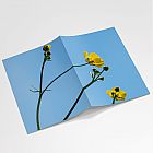 Buttercup Notebook