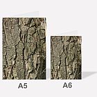 Walnut Tree Bark A6 Notebook