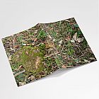 Woodland Floor Notebook