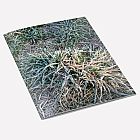 Frosty Grass Notebook