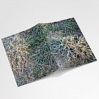 Frosty Grass Notebook