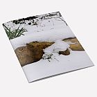 Snow Fish Notebook