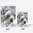 Snow Teasel A6 Notebook